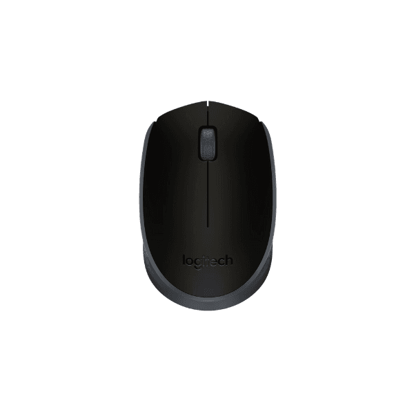 Logitech Wireless Mouse (M171)